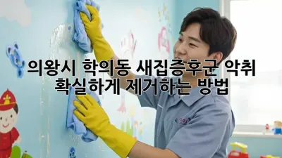 의왕시 학의동 새집증후군 악취, 확실하게 제거하는 방법!