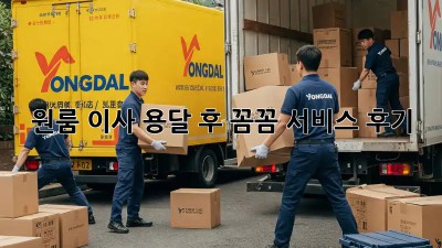 원룸 이사, 용달 후 꼼꼼 서비스 후기