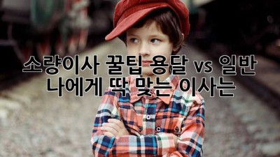소량이사 꿀팁🍯 용달 vs 일반, 나에게 딱 맞는 이사는? 🤔